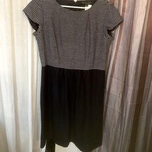 T Shirt, Rib Stitched, Navy Blue Dress. Never Been Worn.